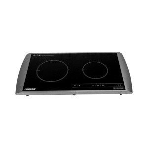 INDUCTION COOKER