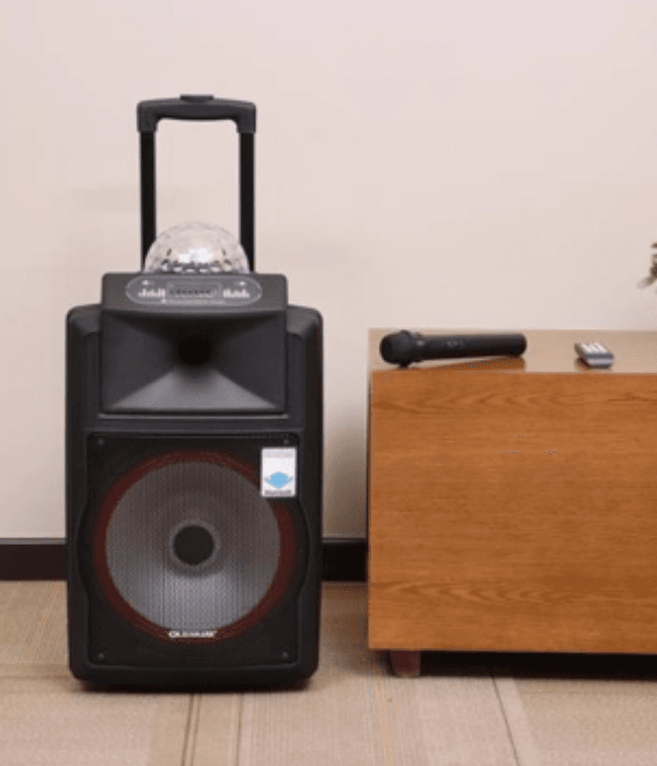 12"Rech Spkr/Usb/Sd/Fm/Bt/Rmt/Mic1X1