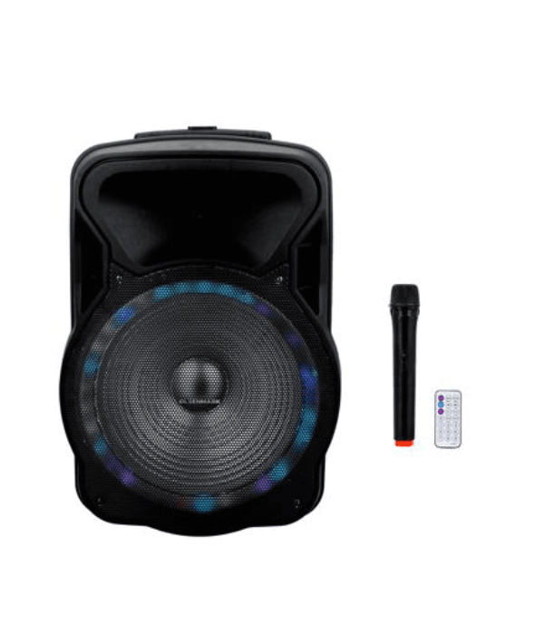 15"Troly Speakr Usb/Tf/Fm/Rmt/Aux/Mic1X1