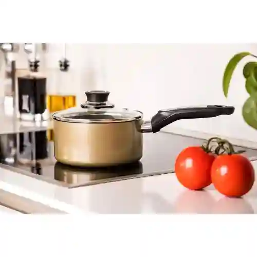 Royalford Aluminum Saucepan With Lid 20 cm