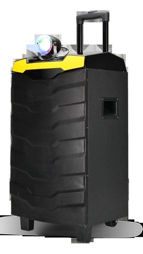 Rech Trolly Spkr/Usb/Sd/Fm/Bt/Rmt/Mic1X1