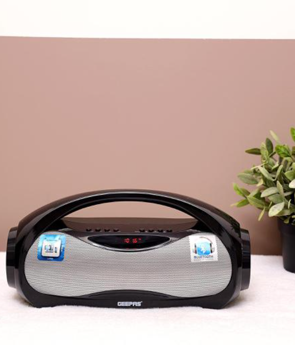 Rech Bluetooth Spkr/Usb/Ft/Fm 1x8