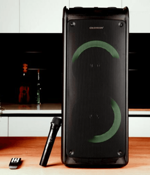 2x8"Rechargeble Party Speakr 18000w1x1