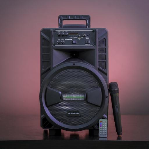 Rech 12"Troly Spekr Usb/Bt/Fm/Sd/Mic1x1