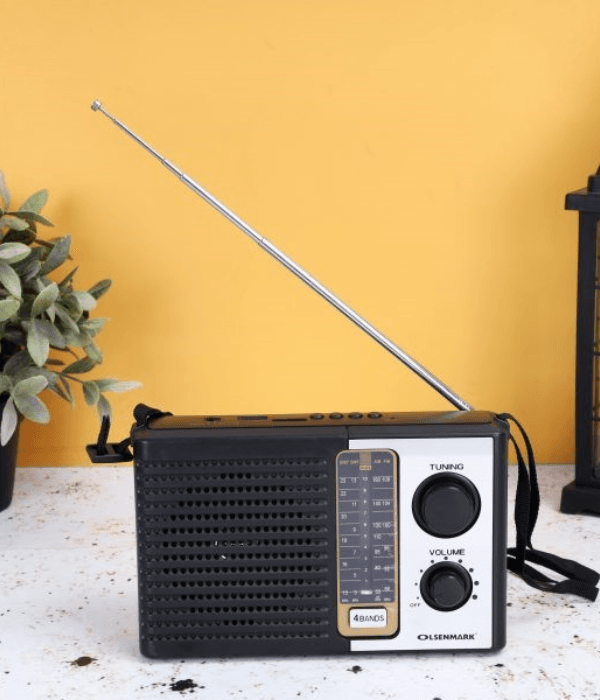 4bandRadio/Fm/Am/Sw 1-2-4/Usb/Tf/Bt 1X20