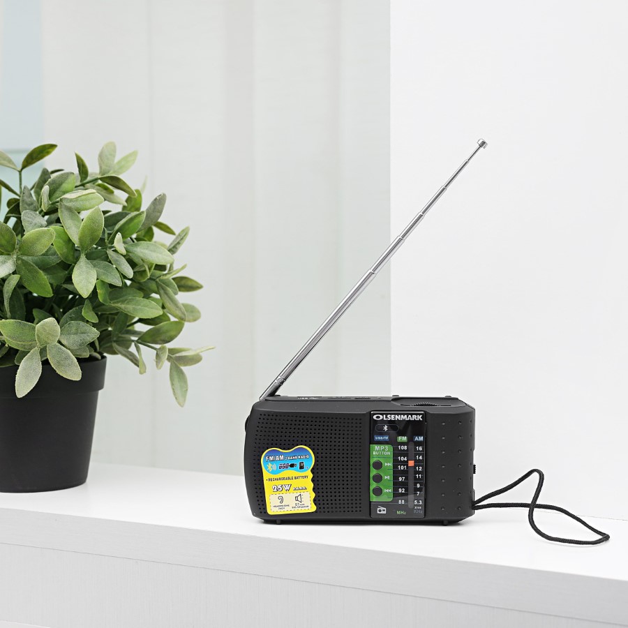 Fm/Am/Usb/Sd/mw/bt/auxRechar Radio 1X100