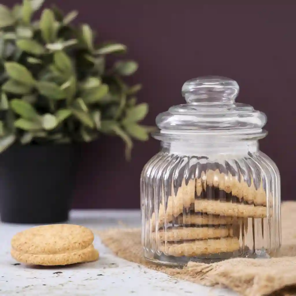 RoyalFord Air Tight Cookie jar