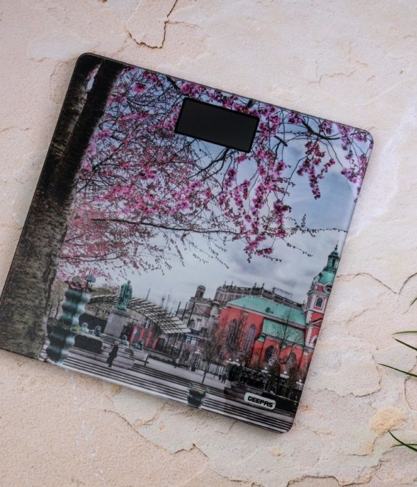 Bathroom Scale/Digital 1x6