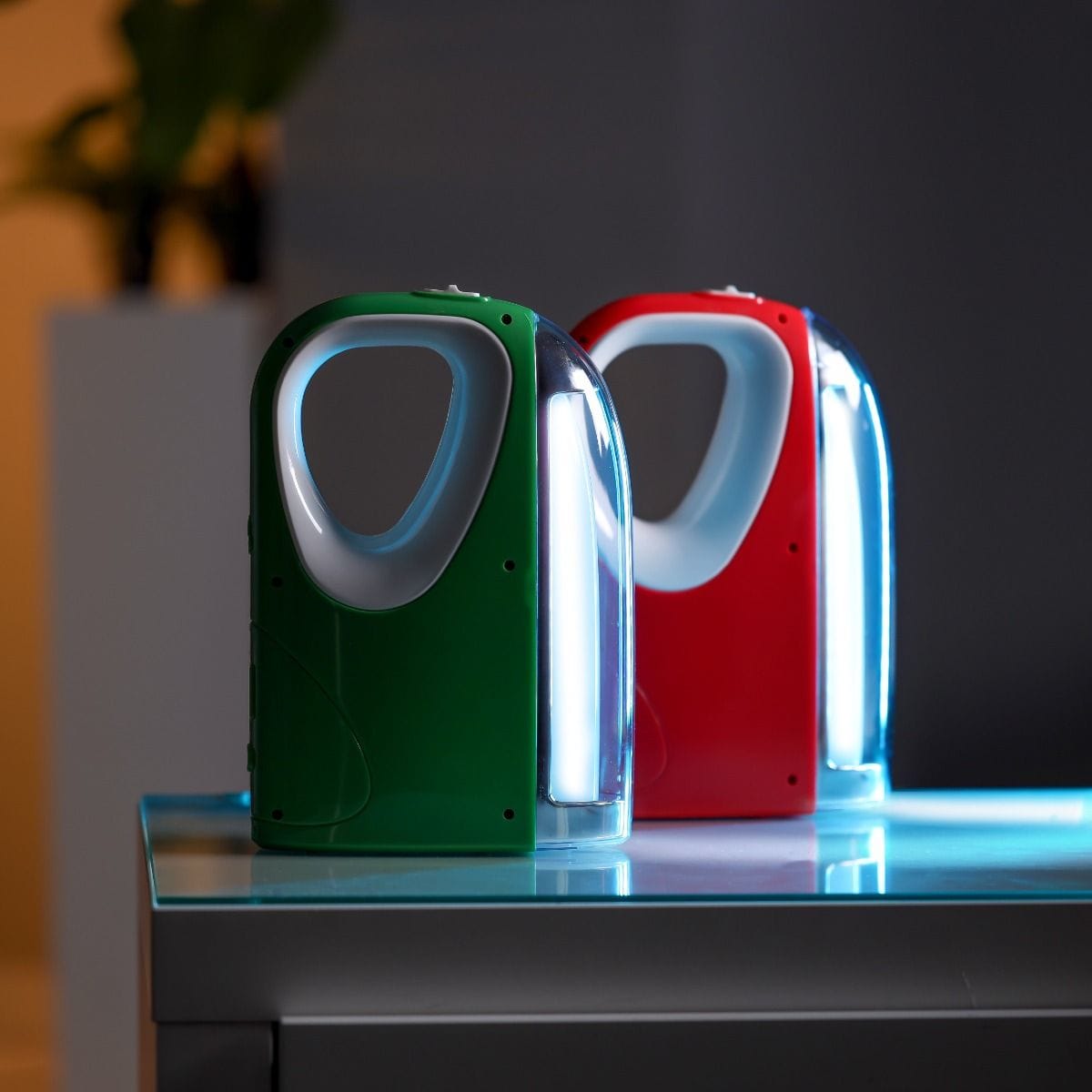 2in1/Emergency Lantern/1X10