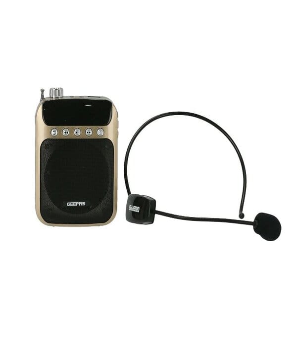 Re.Mini Spker with Wireless Mic  1x60