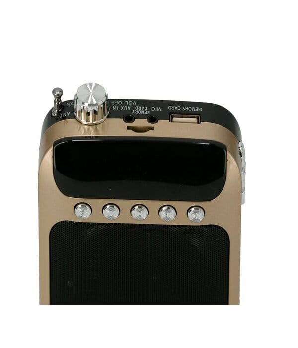 Re.Mini Spker with Wireless Mic  1x60