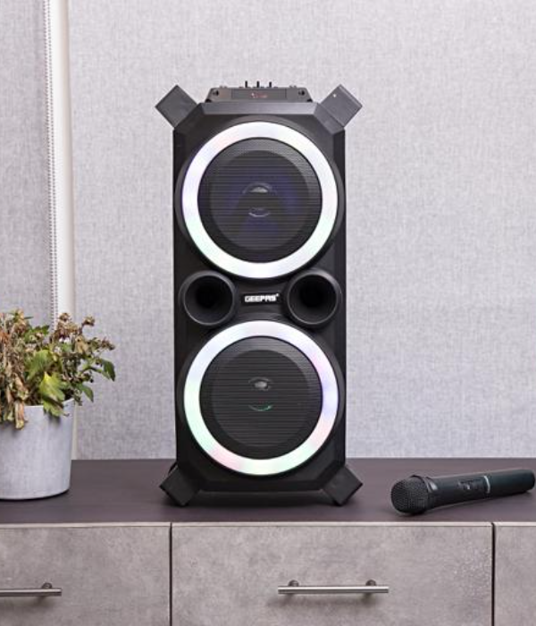 Rech BT Speaker/Usb/TF/Fm/Rmt/Kar/Mic1x1