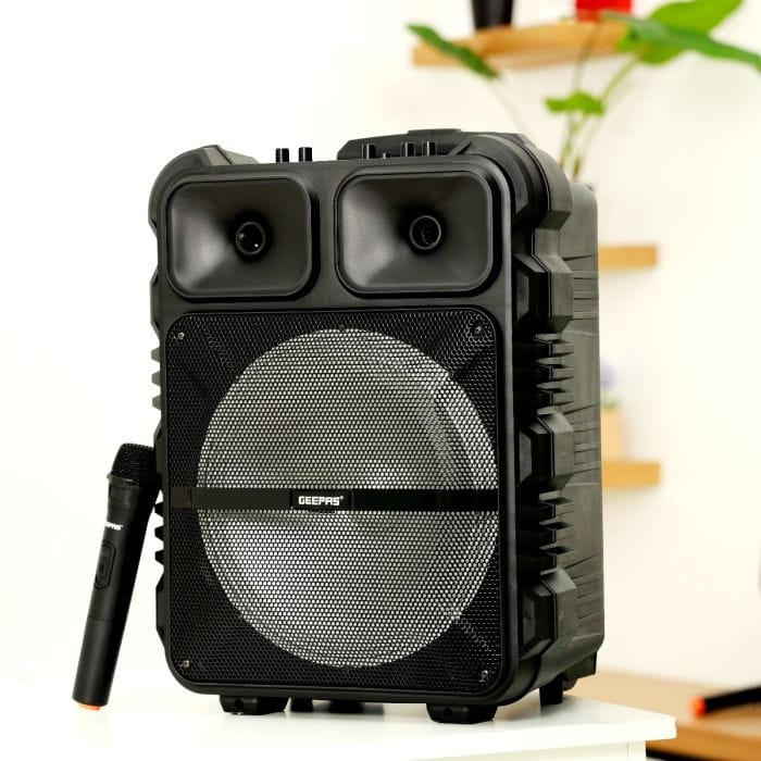 Rech.Trolly Speaker/Bt/Fm/Tf/Mic 1X1