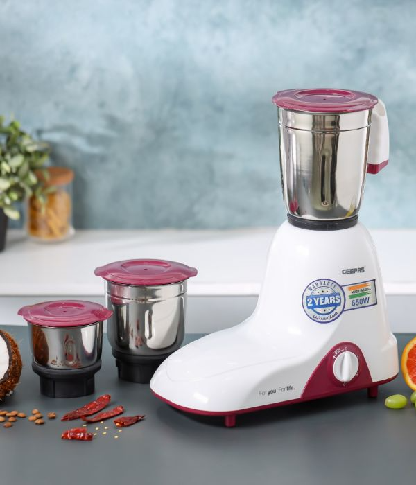 3 in 1Mixer Grinder/India/1X3