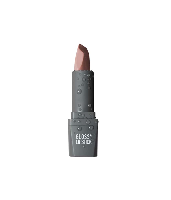 Alix Avien Glossy Lipstick - Shade - 305 Rose Apricot