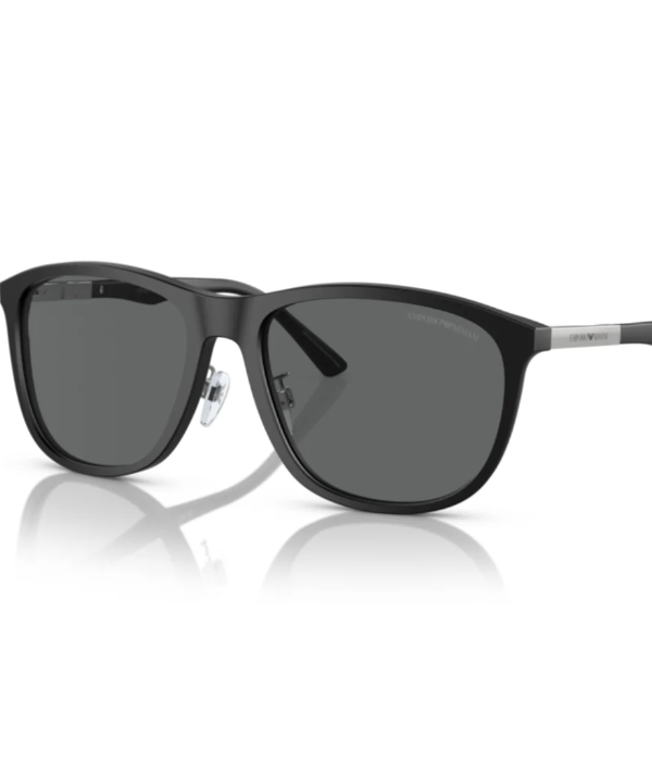 Emporio Armani EA 4201 5001 87