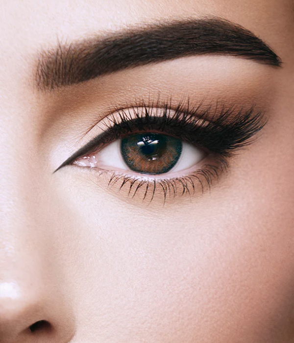 AMARA SHARK GRAY DAILIES