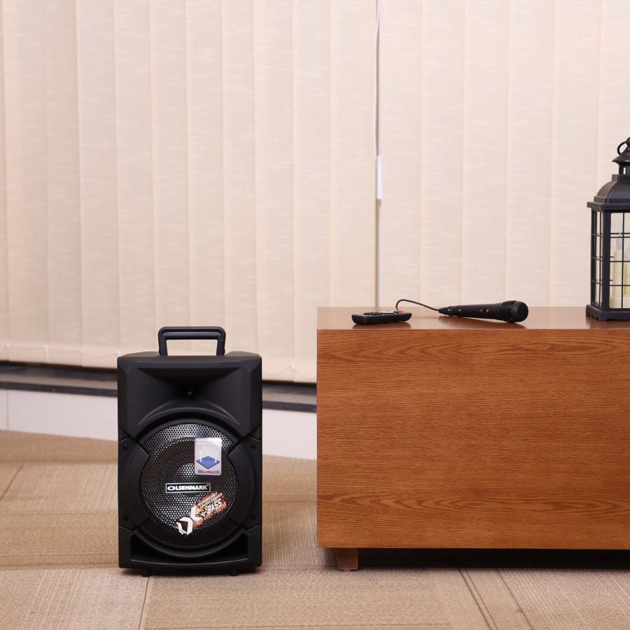 PartySpeaker/RecFun/Usb/Sd/Fm/Rmt/Mic1X1