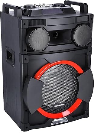 2.0Profsnl Spekr 12"WofrUsb/Bt/Fm/Mic1x1