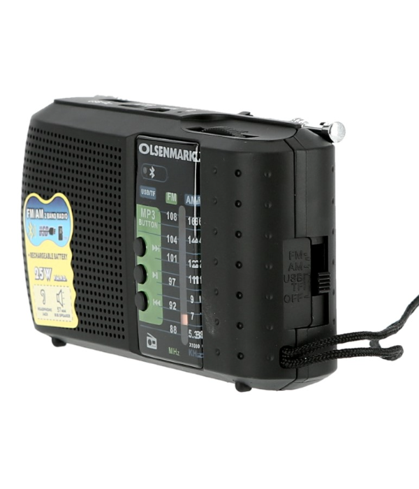 Fm/Am/Usb/Sd/mw/bt/auxRechar Radio 1X100