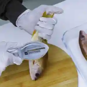 Fish Scale Scraper
