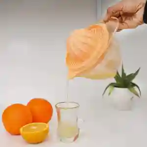 Royalford Citrus Juicer