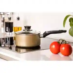 Royalford Aluminum Saucepan With Lid 20 cm