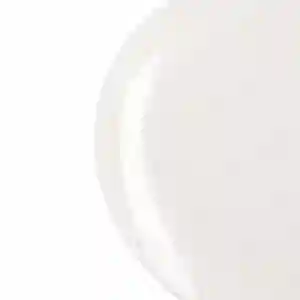 Melamine Ware 14 Inches Oval Plate