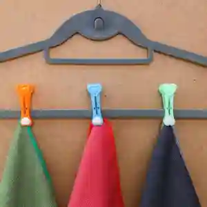 Royalford 12 Pieces Cloth Clip