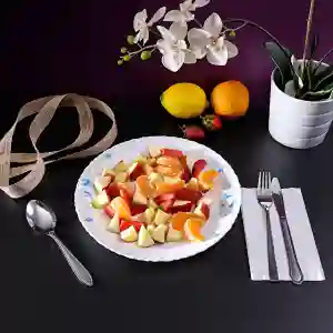 Royalford 10.5″ Opal Ware Dinner Plate