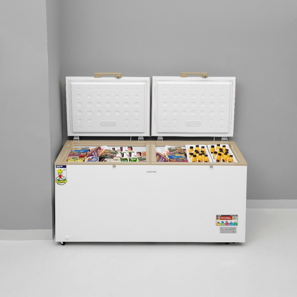 Chest Freezer/550L 1x1