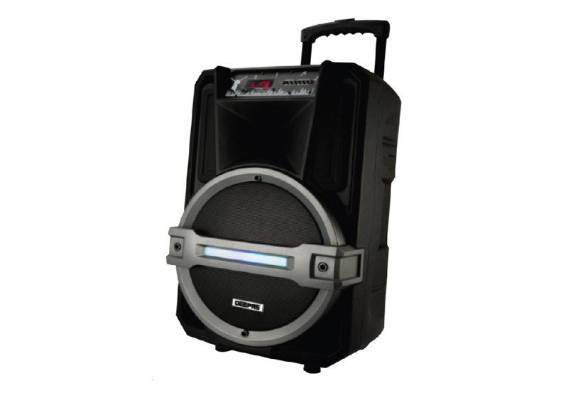 RechTrolley Spkr/Usb/Sd/Fm/Bt/Rmt/Mic1x1