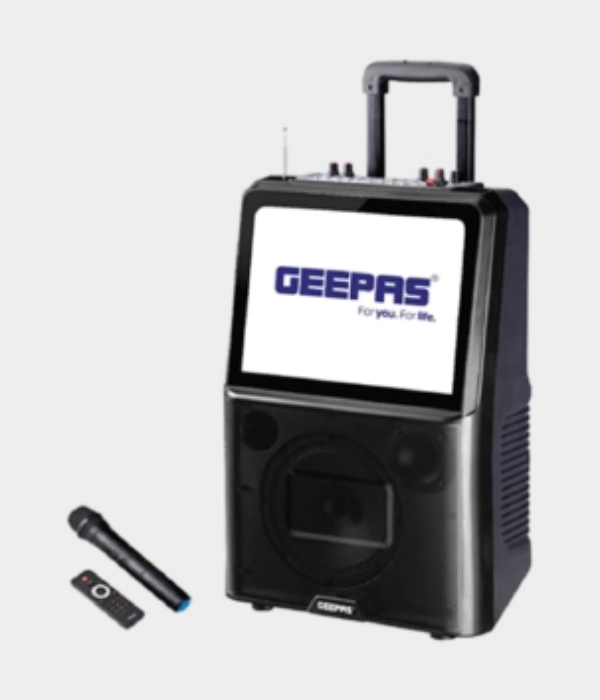 Rech Spkr/15"Screen/Usb/Sd/Fm/Bt/Mic1x1