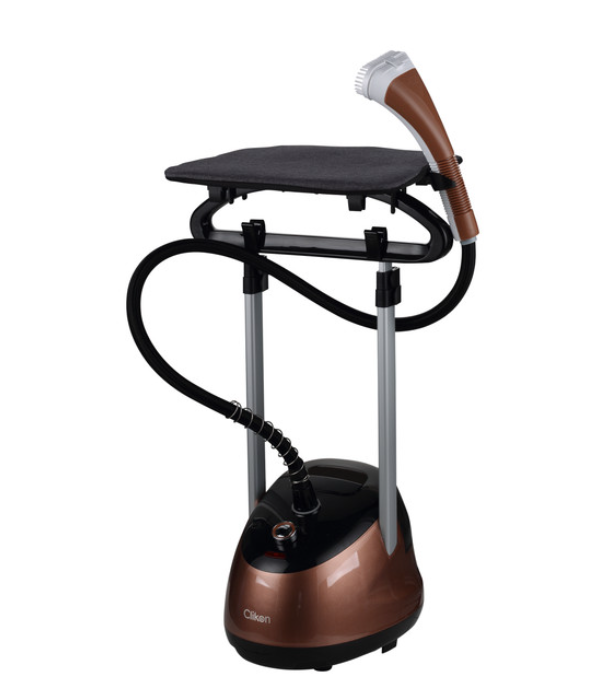 Handheld Garment steamer-900W