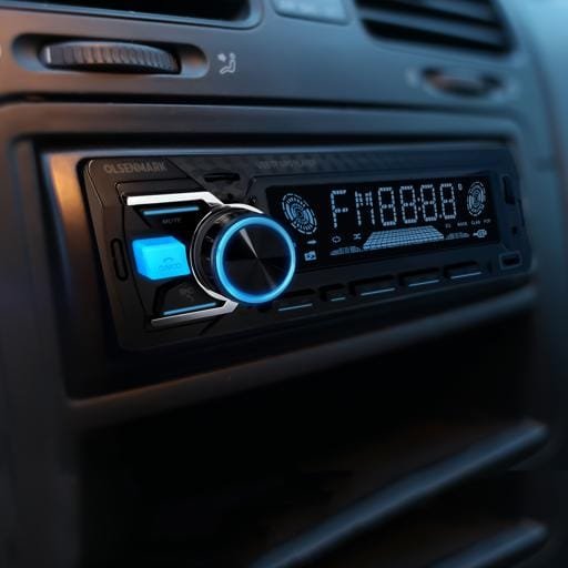 Car Mp3 Player/Fm/Usb/Tf/Aux/Mp3/Bt 1x20