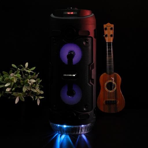 Rech Party Spkr/Usb/Sd/Fm/Mic/Rmt/Bt1x12