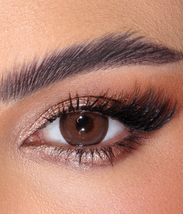 AMARA GINGER BREAD PLANO