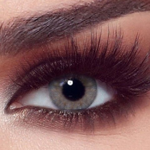 BELLA ROSE WOOD ONE DAY COLOR