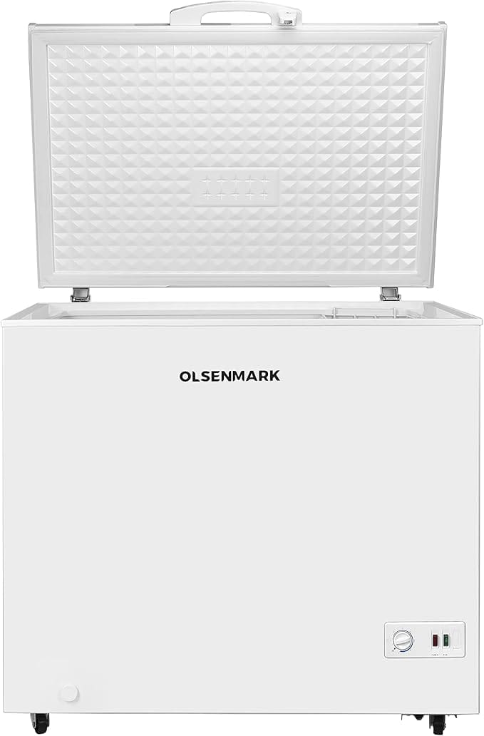 Chest Freezer /250L 1x1