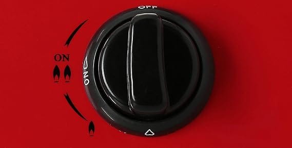 S/S Double Gas Burner/FFD 1X1