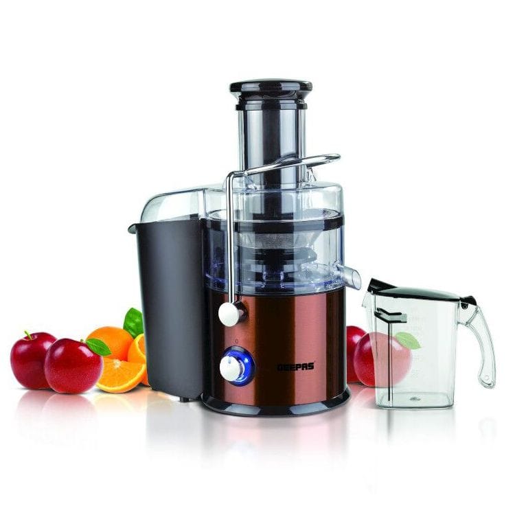 SS Juice Extractor 1x4