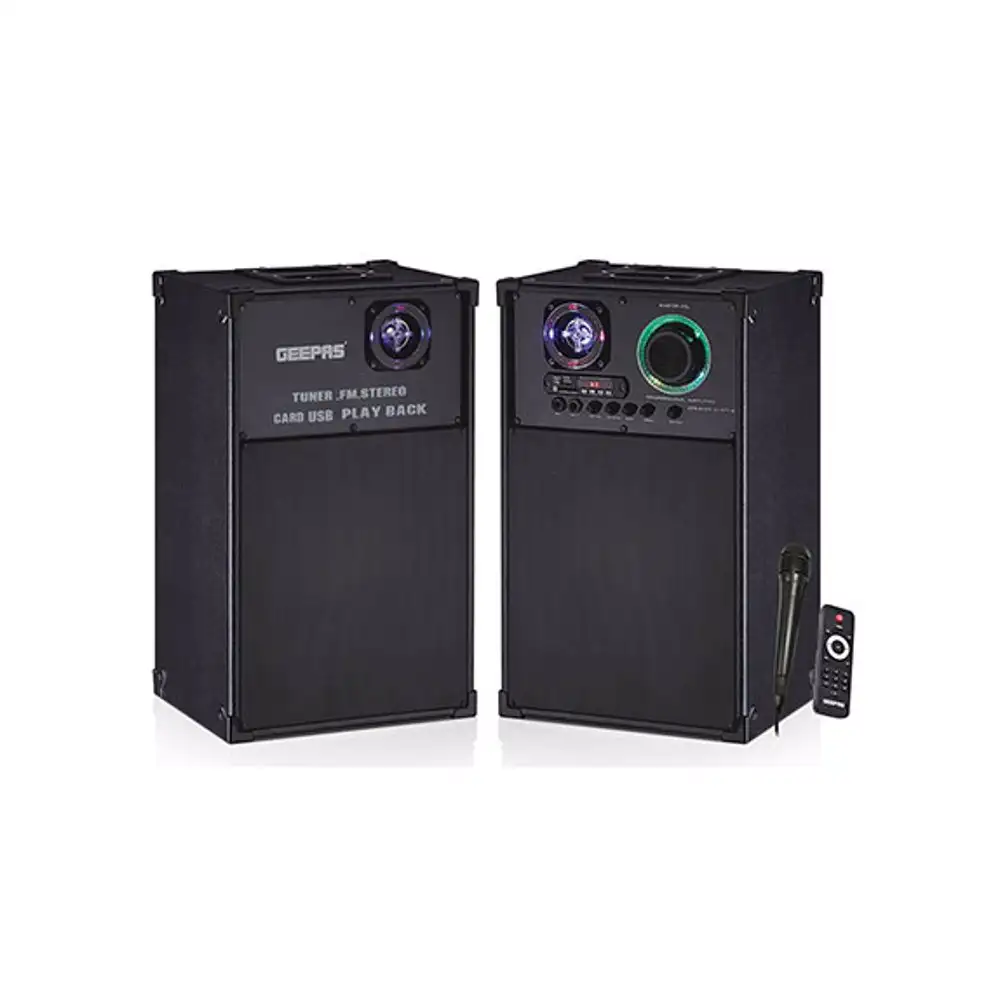 2.0 Prof Spkr/Usb/Sd/Fm/Rmt/Bt/Mic 1X1