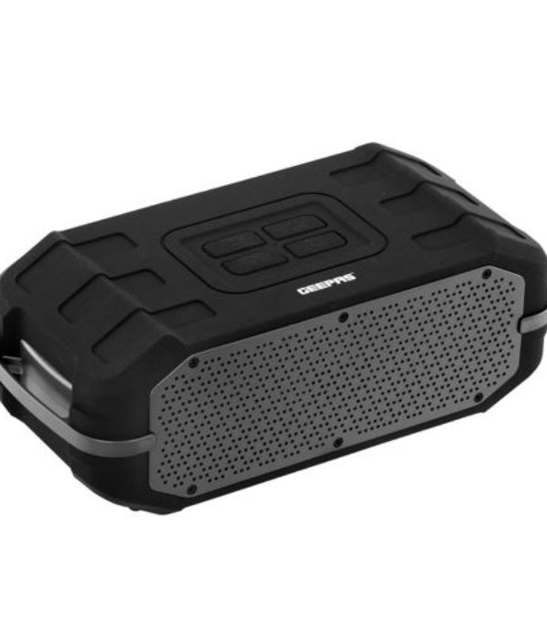 Rech BT Spkr/Usb/Tf/Fm/Aux/Blt InMic1x8