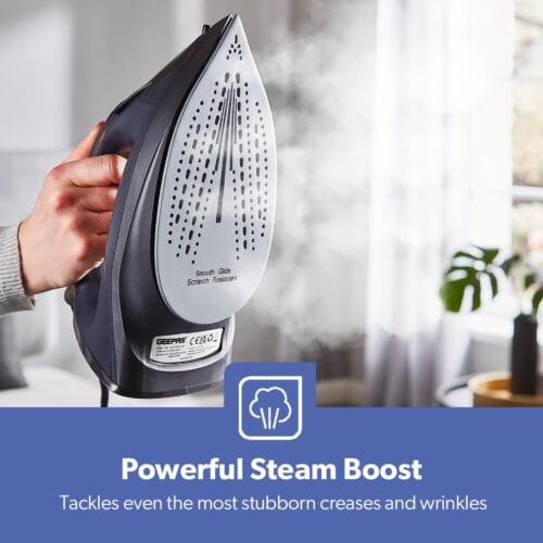 Steam Iron/S.S Sole Plated/2400W 1X10