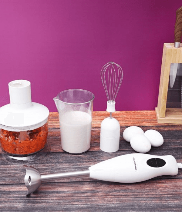 Hand Blender/2Speed/SS Rod 1x10