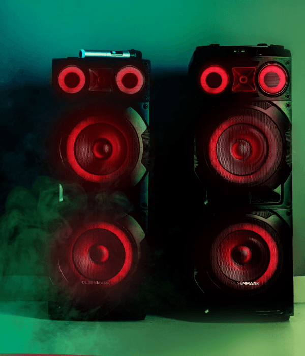 10"Hifi ProfnlSpk/Bt/MicUsb/Fm/Rmt/Tf2x1