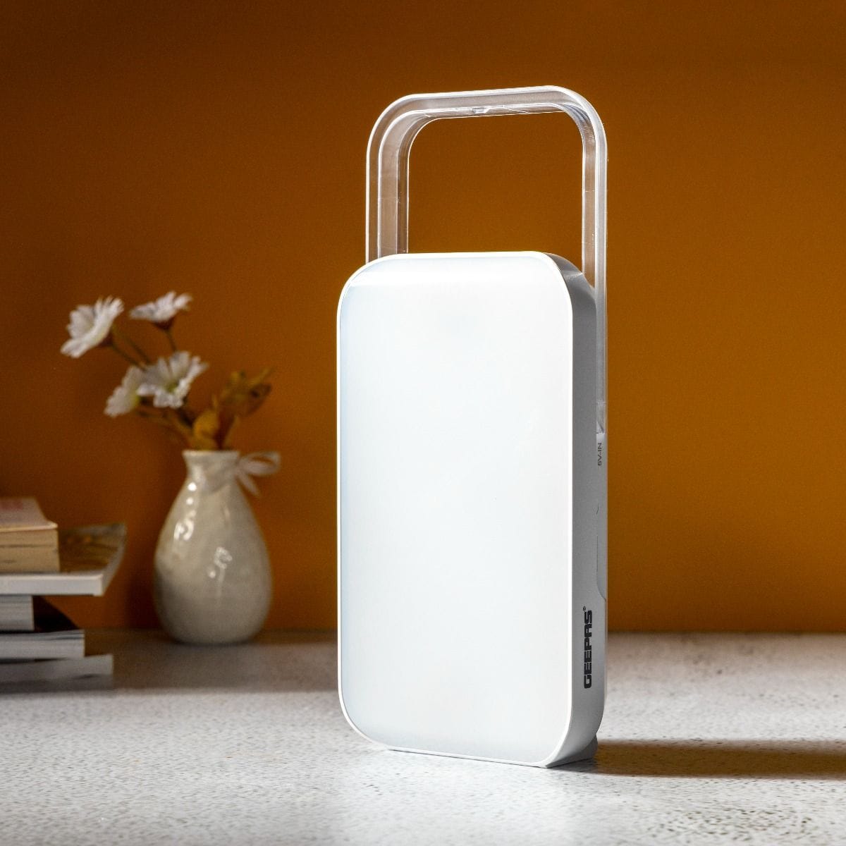 Rechargeable Emergency Lantern 1x20