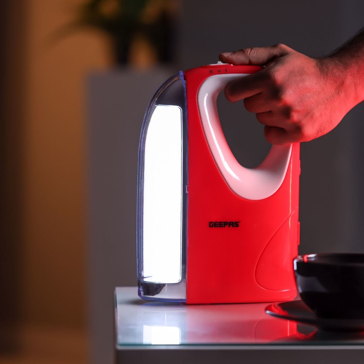 2in1/Emergency Lantern/1X10