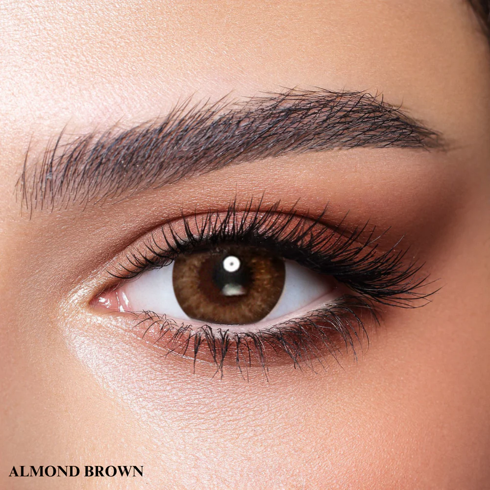 BELLA ALMOND BROWN ONE DAY COLOR