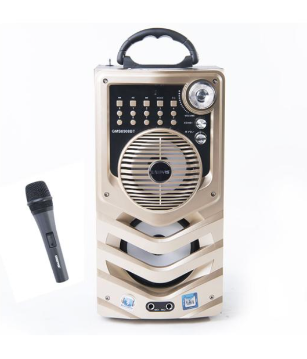 Rech Port Spkr/Usb/Sd/Fm/Rmt/Bt/Mic1x8